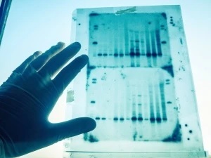 تاثیر تصاویر دستکاری شده روی بررسی محتوای مقاله های علمی