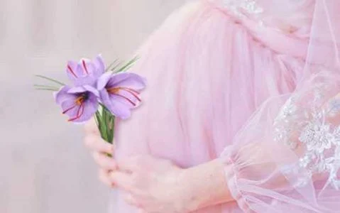 آیا خوردن زعفران در روزهای اول بارداری خطرناک است؟