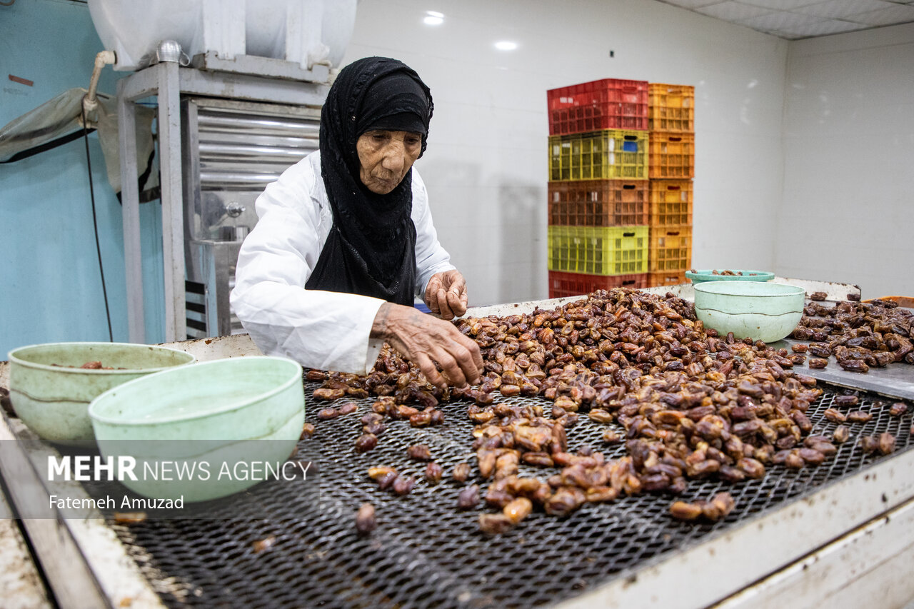 ۹ هزار متر مربع فرش و گلیم مددجویان اردبیل وارد چرخه اقتصادی شده است - خبرگزاری مهر | اخبار ایران و جهان