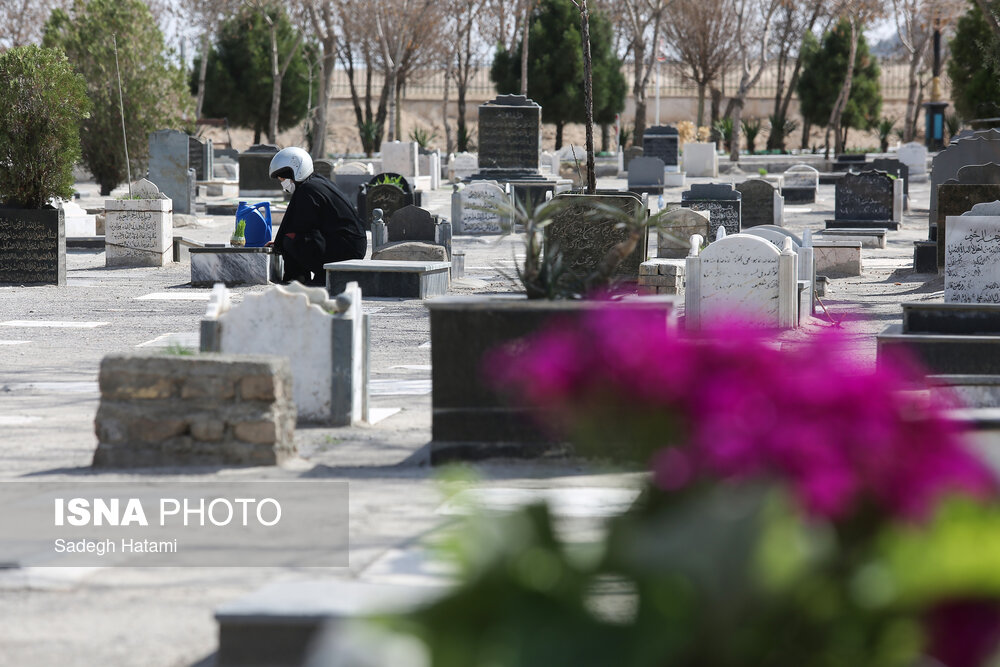 کاشت ۱۲ هزار گل لاله در آرامستان‌های مشهد در آستانه بهار ۱۴۰۴