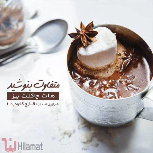 ترکیبات هات چاکلت گانودرما بیز