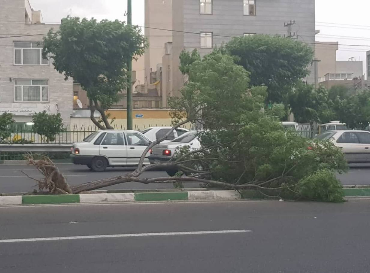 تهران طوفان شب گذشته در تهران ۶ مصدوم داشت