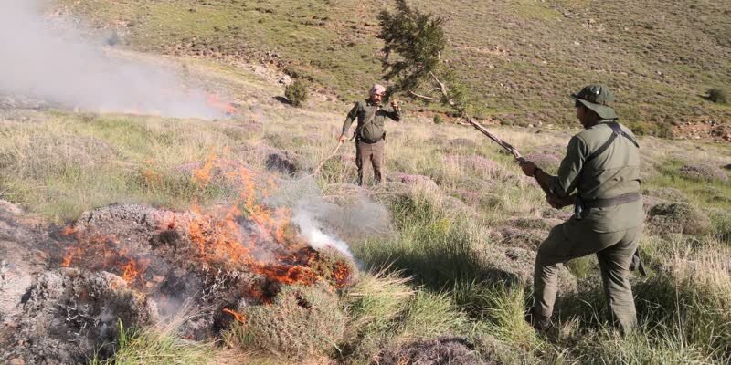 بیاحتیاطی گردشگران، ۲.۵ هکتار از مراتع قوچان را به آتش کشاند